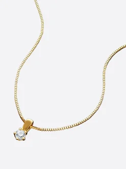 Anhänger mit Kette