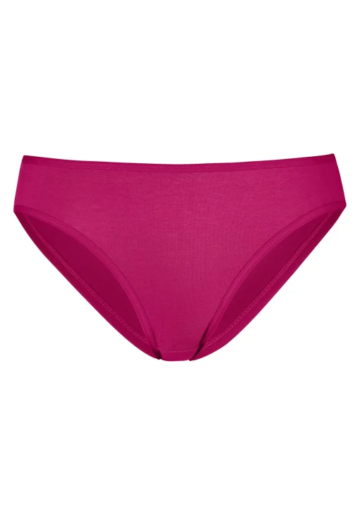 Bikinislip