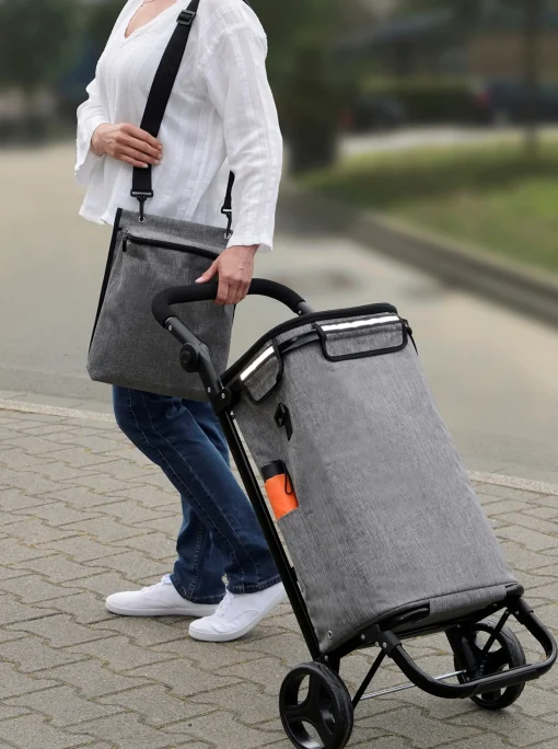Einkaufstrolley