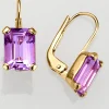 Ohrschmuck