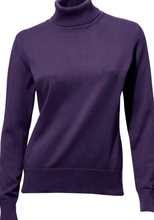 Rollkragenpullover in Feinstrick-Qualität