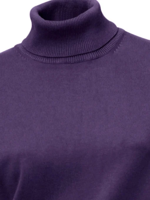 Rollkragenpullover in Feinstrick-Qualität