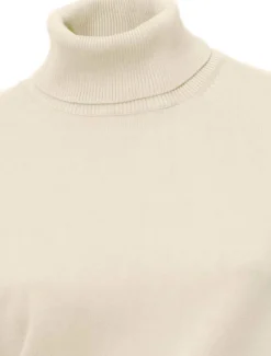 Rollkragenpullover in Feinstrick-Qualität