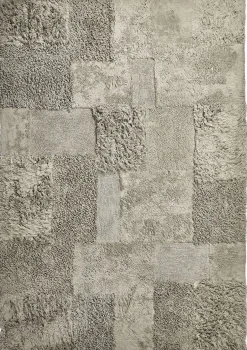 Zottelteppich